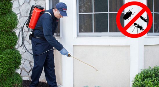 Arnavutköy Akrep İlaçlama böcek ilaçlama ve haşere kontrolü — ilaclama-tr.com